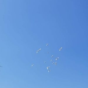 Meet your Posher, Sherry